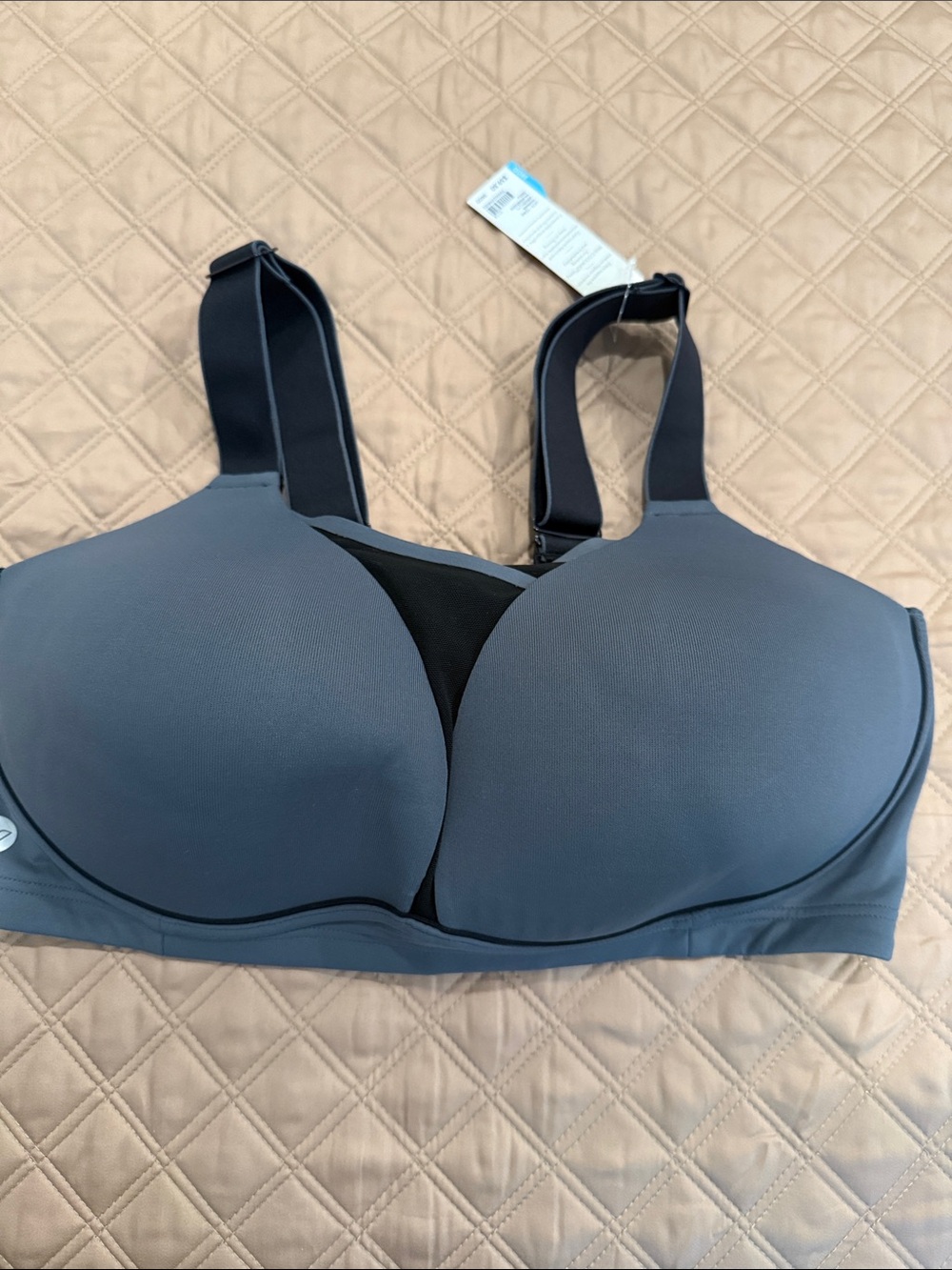 Livi Active Wireless Padded Sports Bra in Slate Gray